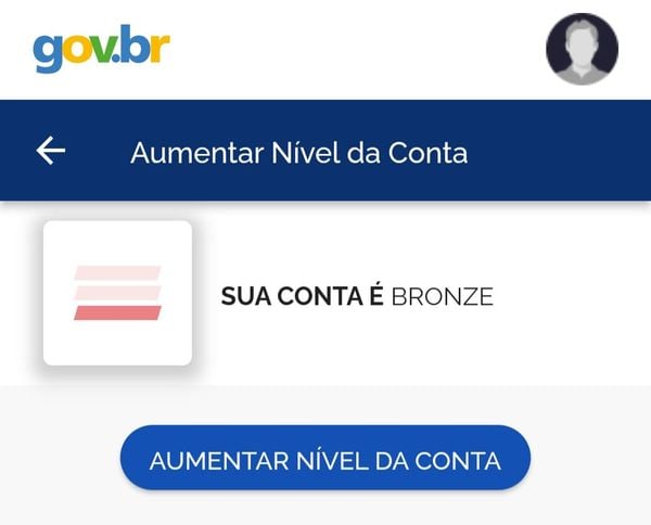 A conta bronze é o nível mais baixo do perfil gov.br.