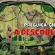 Imagem - Preguiça-gigante: a descoberta do animal pré-histórico que vivia no ES