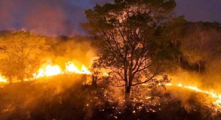Fogo atingiu Parque Estadual Encontro das Águas; em todo o Pantanal, foram detectados 1.436 focos de incêndios neste ano, 20% a mais que no mesmo período de 2022, segundo o Inpe