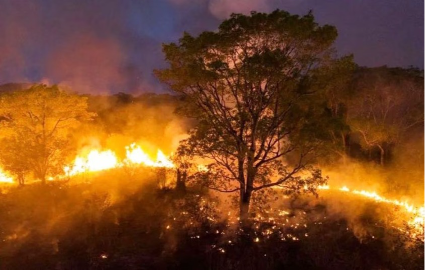 Fogo atingiu Parque Estadual Encontro das Águas; em todo o Pantanal, foram detectados 1.436 focos de incêndios neste ano, 20% a mais que no mesmo período de 2022, segundo o Inpe