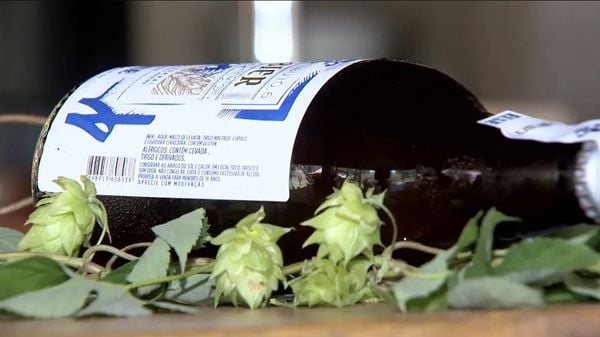 Lúpulo produzido em Viana ajuda a baratear a produção de cerveja no ES