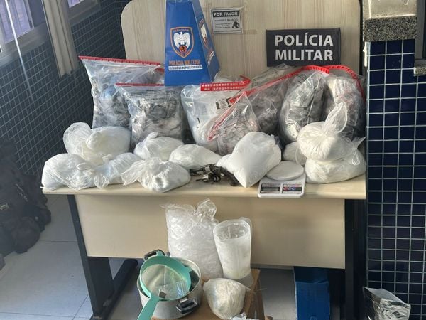Polícia apreende 17 cobras, jabuti, maconha e ovos de répteis em