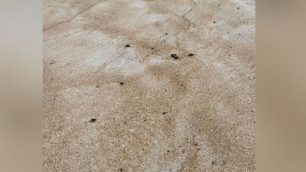 Imagem de domingo mostra fragmentos de óleo na praia de Barra Nova, em São Mateus