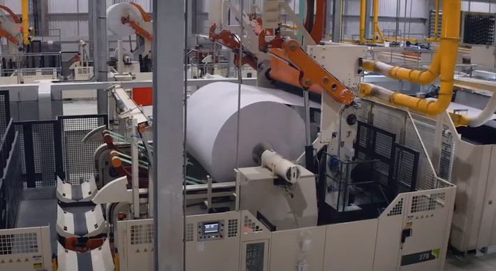 Responsável pela produção do papel higiênico Mimmo, a fábrica alcançou, no último mês de setembro, o recorde de 527 mil fardos produzidos em um mês