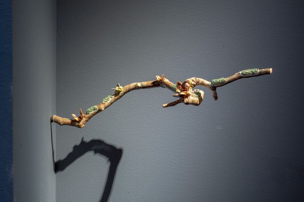 “De Onde Surgem os Sonhos | Coleção Andrea e José Olympio Pereira”, uma exposição do Museu Vale e do Instituto Cultural Vale por Claraboia Imagem/Vale/Divulgação