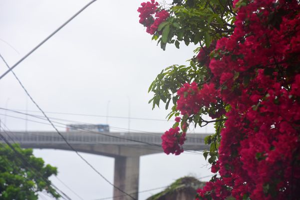 Dia chuvoso no Espírito Santo em meio a passagem de frente fria pelo Estado por Ricardo Medeiros 