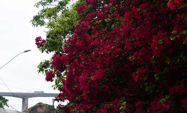 Dia chuvoso no Espírito Santo em meio a passagem de frente fria pelo Estado por Ricardo Medeiros 