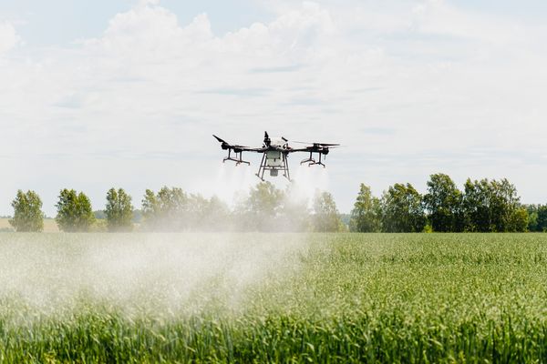 O uso de drones para pulverização auxilia nos cultivos realizados nas regiões de montanha ou nos casos em que o uso de maquinário pode agredir a plantação.