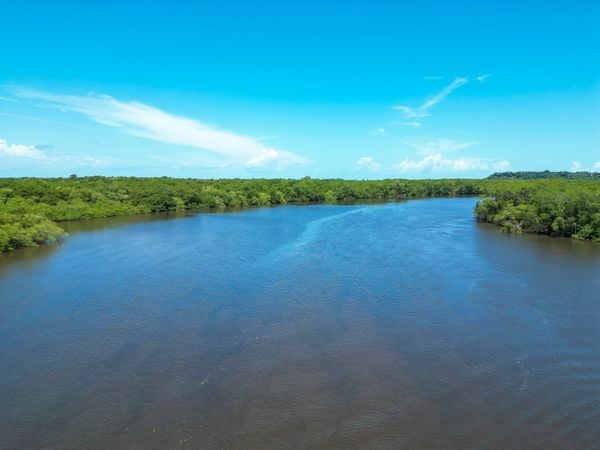 Rio João de Tiba por Divulgação/ Secretaria de Turismo de Santa Cruz Cabrália