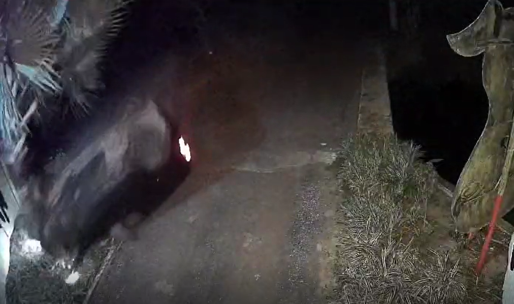 No vídeo, é possível ver o veículo em alta velocidade, colidindo em uma árvore e, logo em seguida, capotando; acidente ocorreu na noite de domingo (5)
