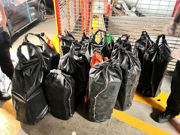 Operação encontra 1,5 tonelada de cocaína em navio no Porto de Vitória por Polícia Federal