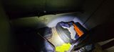 Operação encontra 1,5 tonelada de cocaína em navio no Porto de Vitória(Polícia Federal)