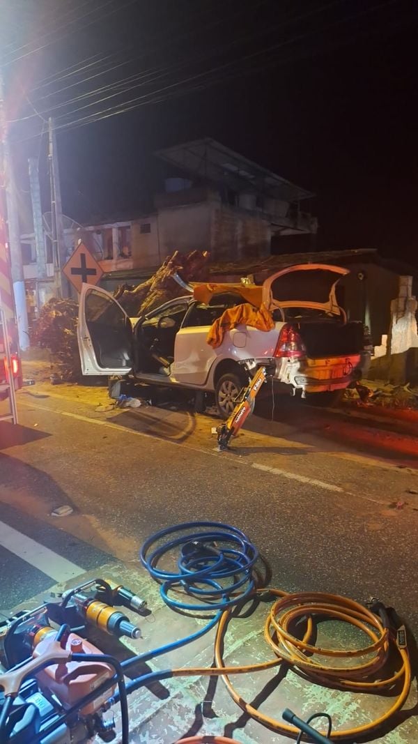 Homem morre e outro fica ferido após carro colidir com tronco de árvore em no ES por Leitor A Gazeta