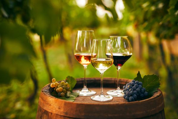 Vídeo: o que são vinhos orgânicos, biodinâmicos e naturais