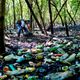 Imagem - Mangue de lixo: ES terá ações para recuperar áreas e evitar poluição