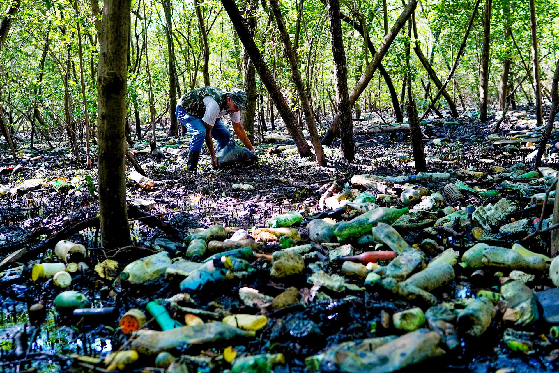 Anúncio foi feito após publicação de reportagem de A Gazeta que denunciou abandono de manguezal no Parque da Manteigueira, em Vila Velha, tomado pelo lixo na mata e no mar
