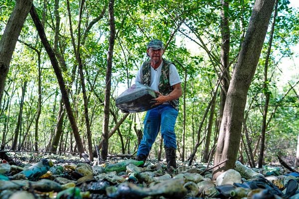 Especial Mangue - Lixo em manguezal do Parque da Manteigueira em Vila Velha