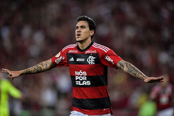 Pedro marcou dois gols na vitória do Flamengo sobre o Palmeiras