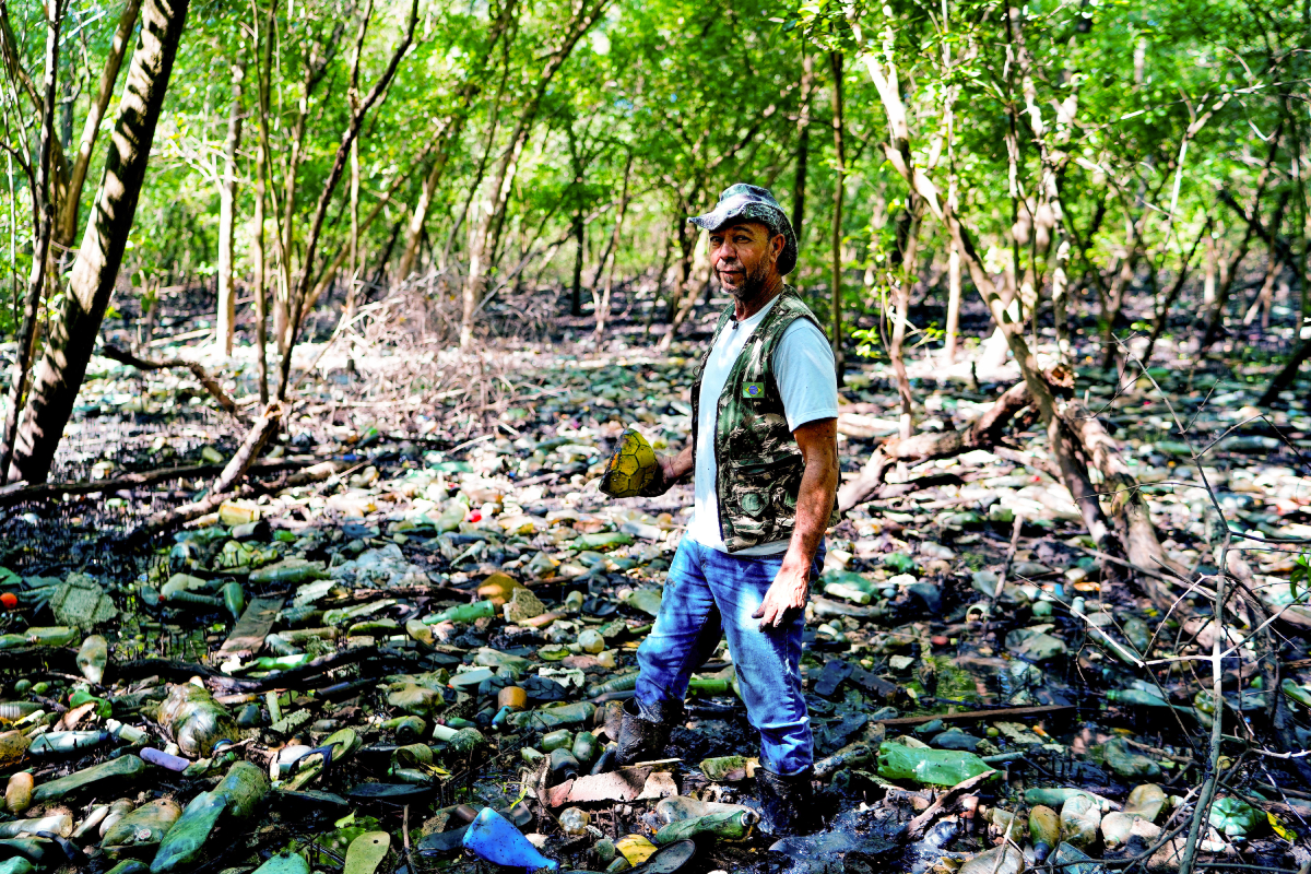Jorge Calazans no manguezal do Parque da Manteigueira, em Vila Velha