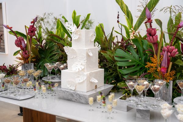 Lançamento de Bruna Medeiros