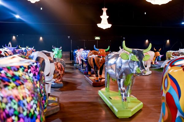 Leilão da Cow Parade