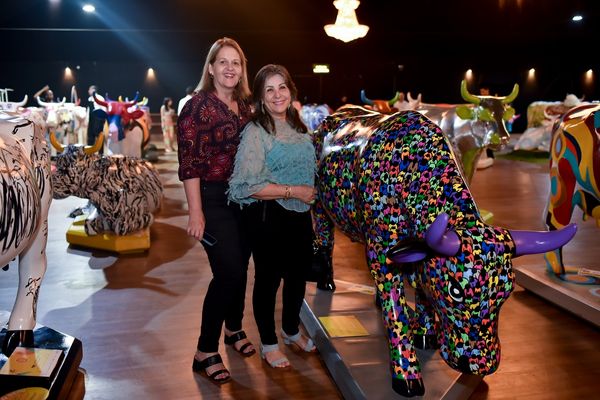 Luzia Gava e Angela Gomes