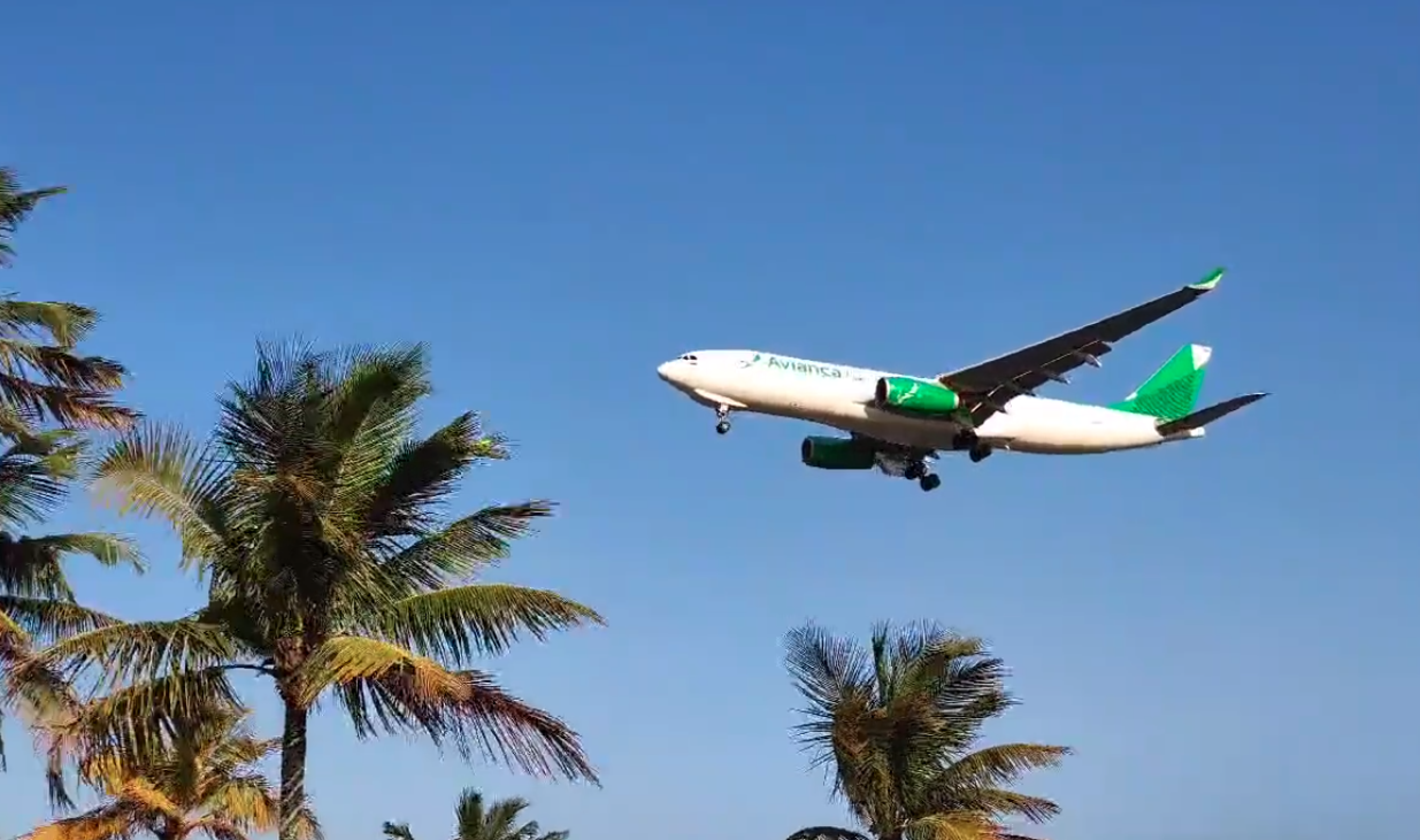 Na tarde dessa segunda-feira (13), o cargueiro A330-200F da Avianca chegou novamente ao Estado, em lindo pouso realizado pela cabeceira em direção à Praia de Camburi; confira o vídeo