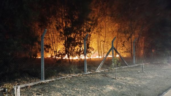 Fogo na área do aeroporto continuou durante a noite de quarta por Gabriela Ribeti