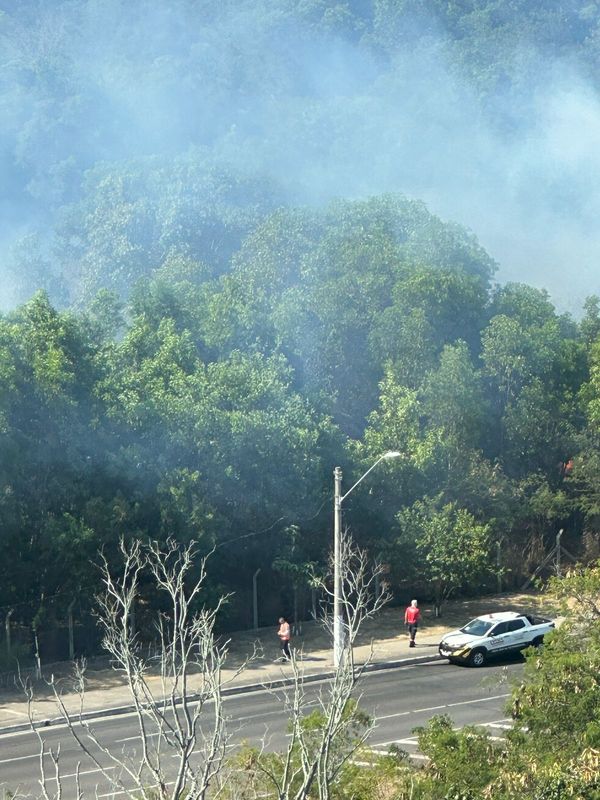 undefined por Lucas Fasolo