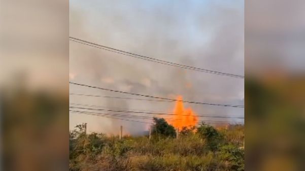 Bombeiros combatem incêndio em vegetação em Marataízes
