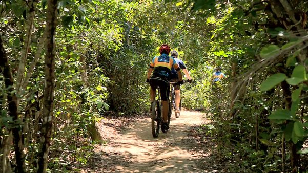 O parque, que fica em Conceição da Barra, tem pelo menos seis trilhas usadas por quem gosta de andar de bicicleta e apreciar as belezas naturais da região