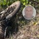 Imagem - Motociclista morre em acidente com carro em estrada de São Mateus