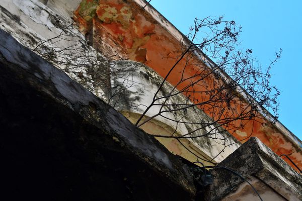 undefined por Fernando Madeira