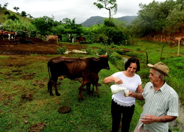 O registro concorre ao prêmio na categoria Fotojornalismo por Ricardo Medeiros