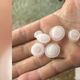 Imagem - Chuva de granizo: moradores registram temporal em Itaguaçu