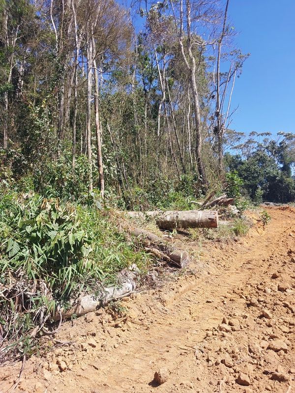  Área com desmatamento irregular em Venda Nova do Imigrante equivale a seis campos de futebol por Divulgação Idaf