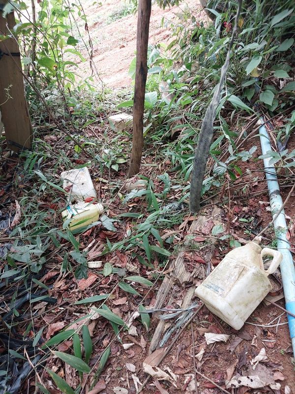  Área com desmatamento irregular em Venda Nova do Imigrante equivale a seis campos de futebol por Divulgação Idaf