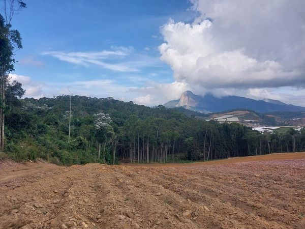  Área com desmatamento irregular em Venda Nova do Imigrante equivale a seis campos de futebol por Divulgação Idaf
