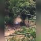 Imagem - Após se esconder em mata e trocar tiros com PM, homem é preso em Cariacica