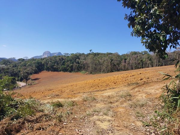 Área com desmatamento irregular em Venda Nova do Imigrante equivale a seis campos de futebol