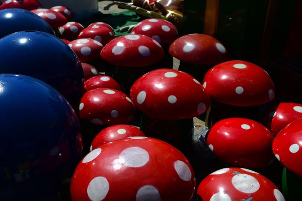Montagem da árvore e vila do papai noel na Praça do Papa por Fernando Madeira
