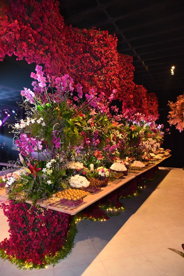 Aniversário de Sophie Corteletti