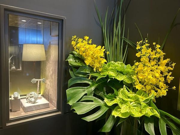 Inauguração de Dorion Soares no Rio