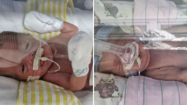 Lucca à esquerda e Eloá na direita: fotos dos bebês foram publicadas há cinco dias