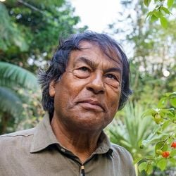 Cerimônia acontece no Theatro Carlos Gomes, e haverá ainda exibição do documentário “Ailton Krenak: O Sonho da Pedra”, seguida de um bate-papo