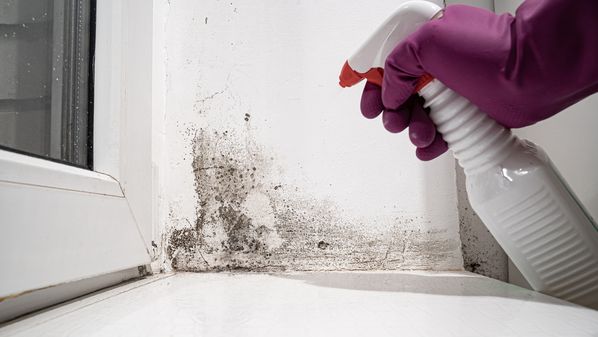 Fique poder dentro das dicas de produtos e limpeza