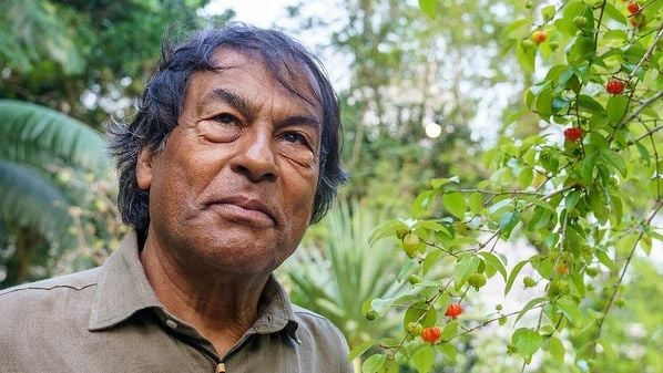 Lembrei da lição de anos antes, de que aprender a ser simples demora muito tempo. Escrever modesto não é tão fácil quanto enfileirar palavras difíceis, frases longas, texto duro. Consumir pouco nos desafia mais que comprar desembestadamente