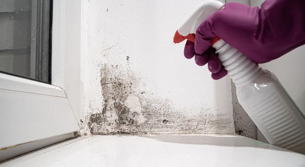 O mercado, hoje, oferece diversas soluções de produtos para combater o mofo da casa