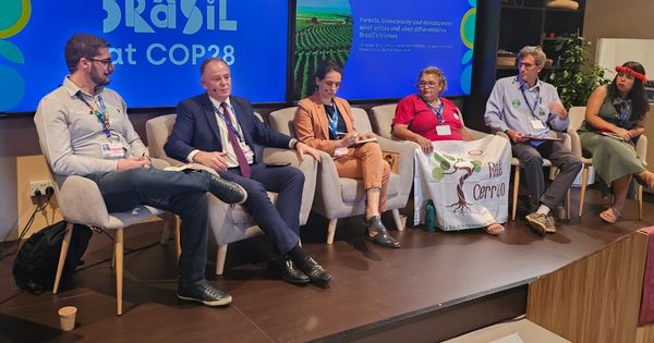 Inédita entre os Estados do Brasil, medida foi anunciada pelo governador na COP 28 e prevê a substituição dos combustíveis fósseis utilizados na frota estadual