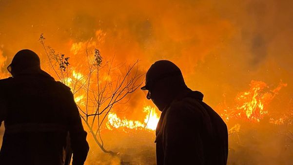 Incêndio atinge área de vegetação em São Mateus